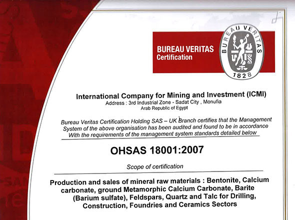 OHSAS 18001:2007